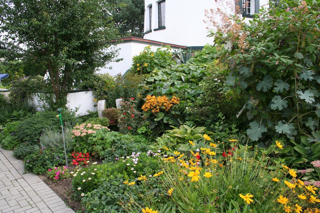 De Witte Molen Kranenburg Bed & Breakfast คราเนนบวร์ก ภายนอก รูปภาพ